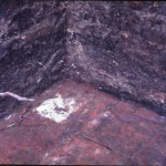 afb.2 Bij een opgraving op de binnenplaats van Huize Swaensteyn werd een beerkelder gevonden met een vloer van plavuizen (foto: Archeologische Werkgroep Voorburg). 